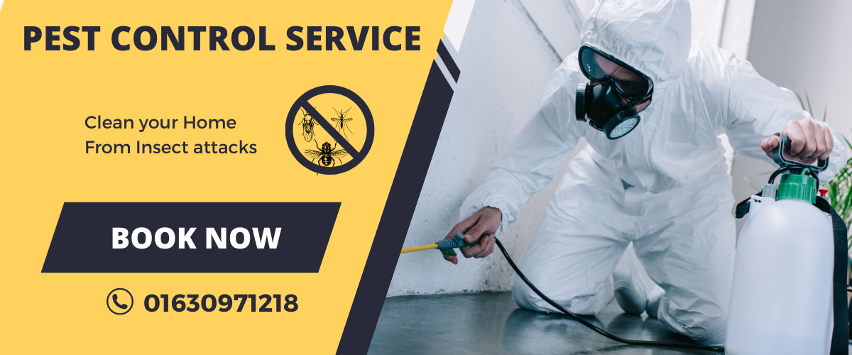 Trusted Pest Control Service in Farmgate – Call Today